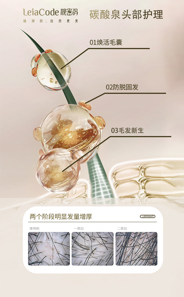 头部护理产品